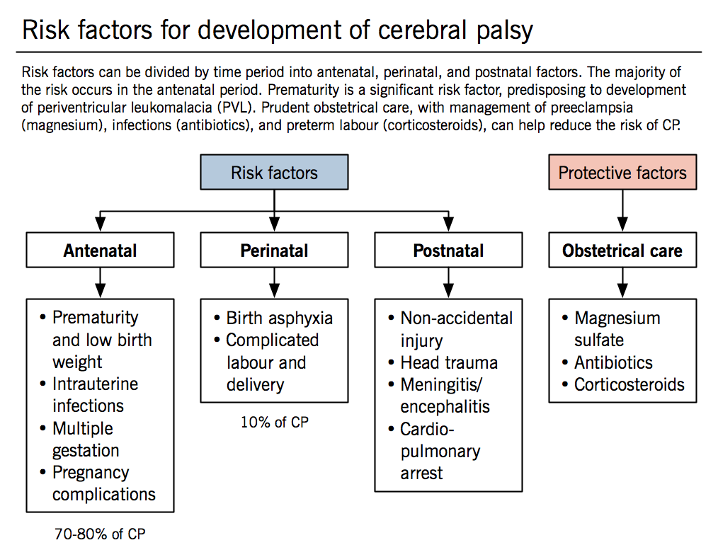 Risk factors for cerebral palsy