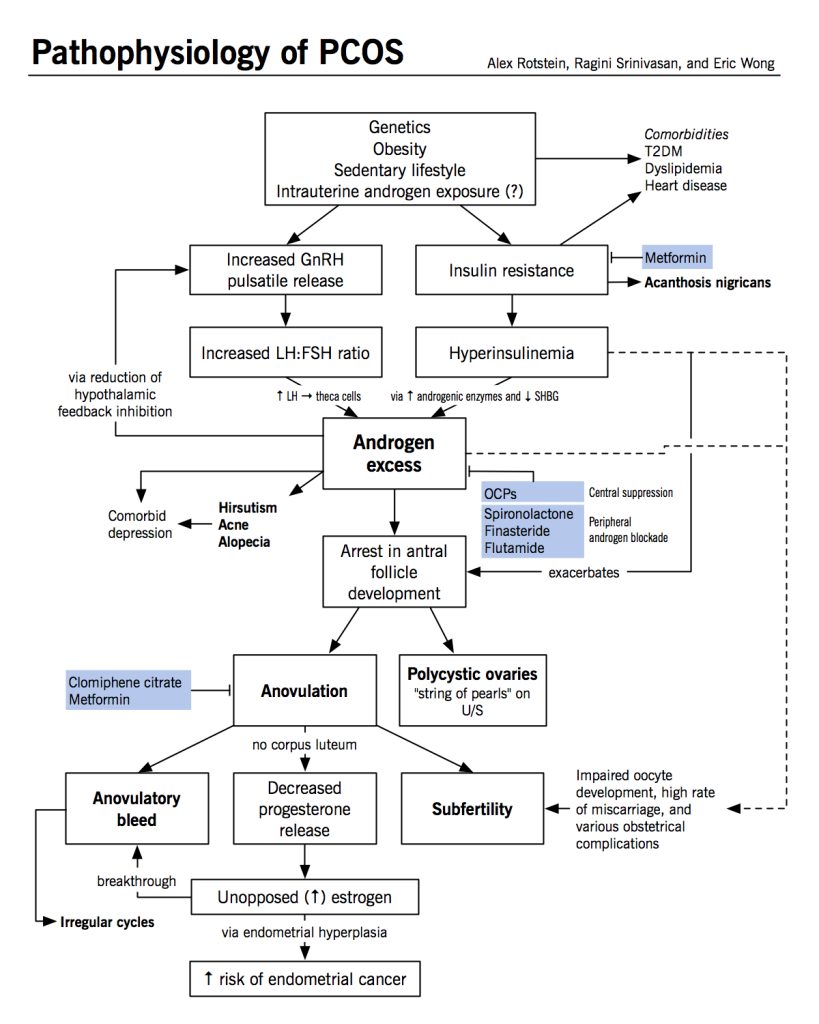 Pathophysiology Of Pcos Mcmaster Pathophysiology Review 